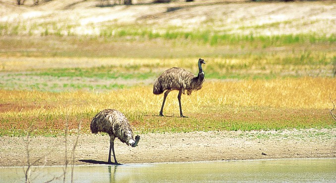 Image courtesy of Tourism New South Wales