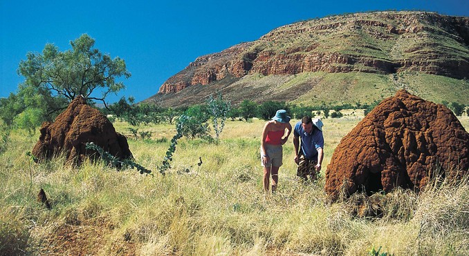 Image courtesy of Western Australia