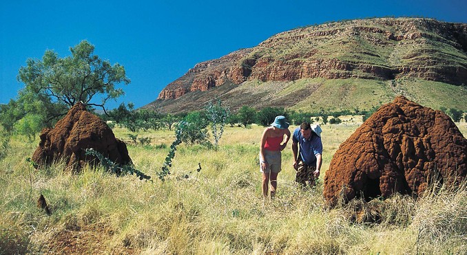 Image courtesy of Western Australia