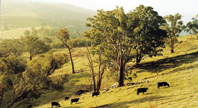 Image courtesy of Tourism Victoria