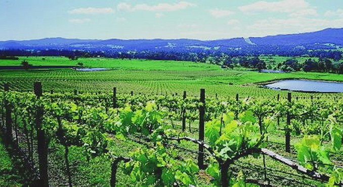 Image courtesy of Tourism Victoria