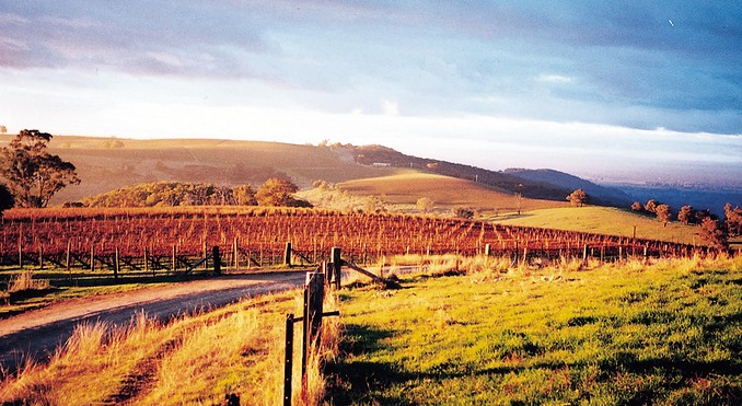Image courtesy of Tourism Victoria