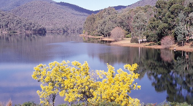 Image courtesy of Tourism Victoria