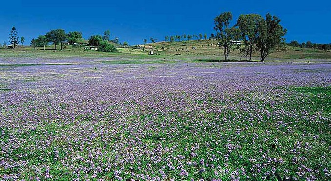 Image courtesy of Tourism Queensland