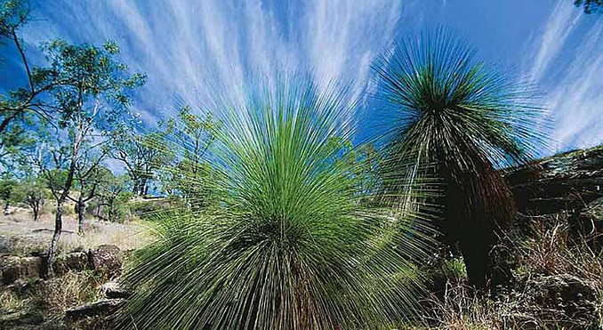 Image courtesy of Tourism Queensland