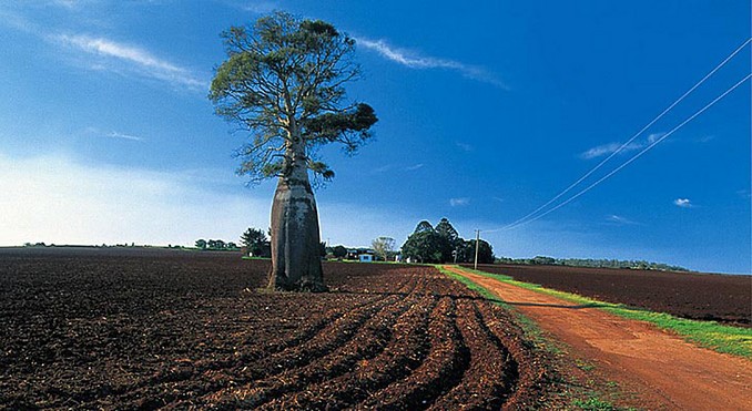 Image courtesy of Tourism Queensland