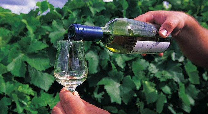 Image courtesy of Tourism Queensland
