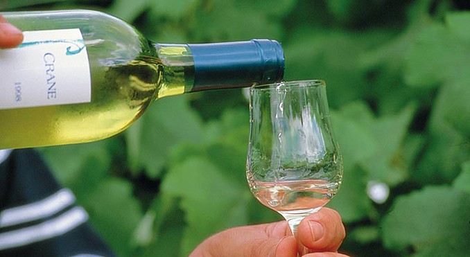Image courtesy of Tourism Queensland