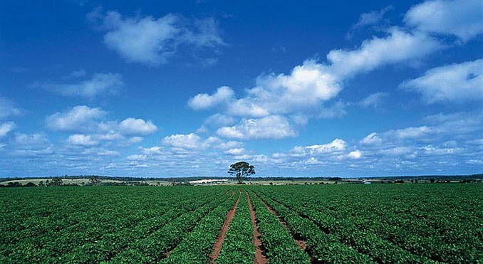 Image courtesy of Tourism Queensland