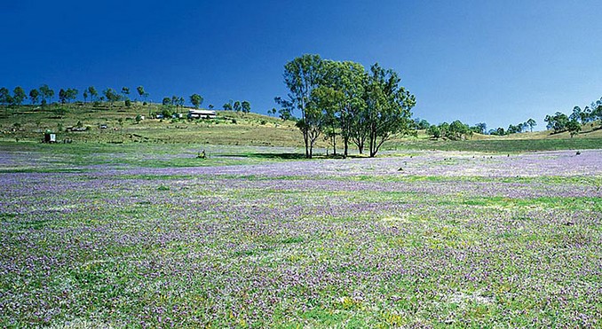 Image courtesy of Tourism Queensland