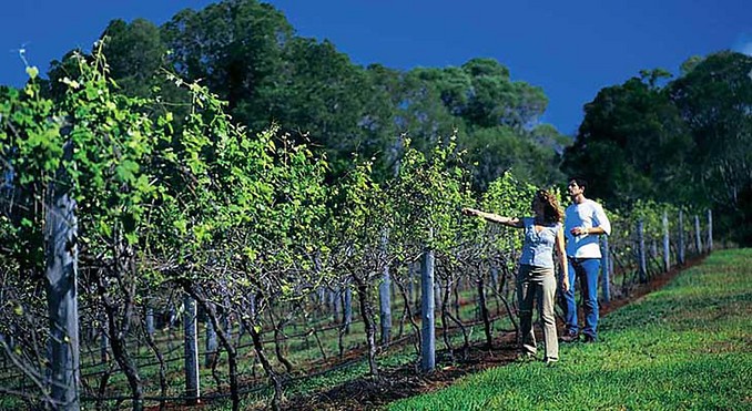 Image courtesy of Tourism Queensland