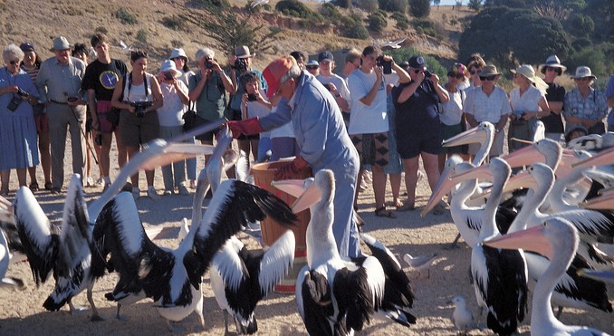 Image courtesy of South Australia