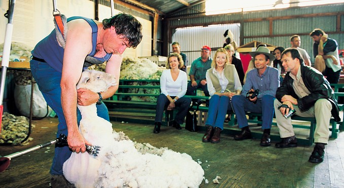 Image courtesy of South Australia