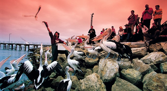 Image courtesy of South Australia