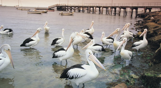 Image courtesy of South Australia