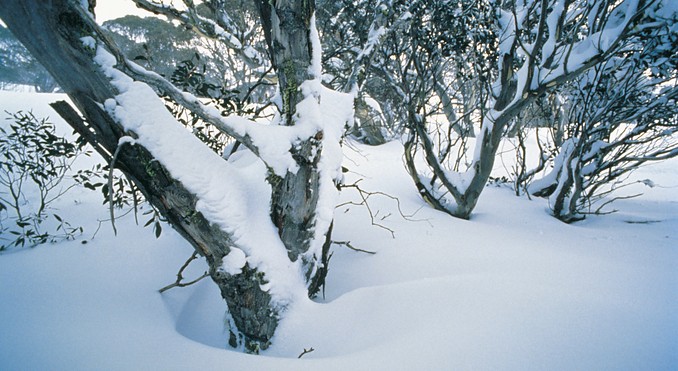 Image courtesy of Tourism New South Wales