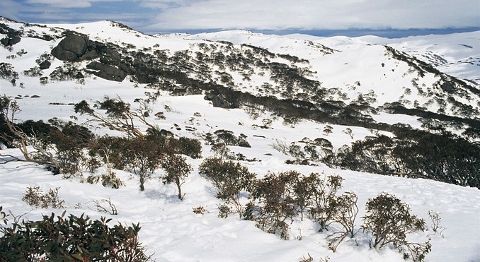 Image courtesy of Tourism New South Wales