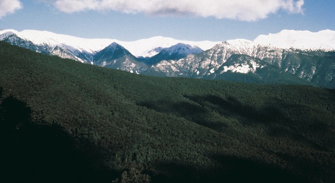 Image courtesy of Tourism New South Wales