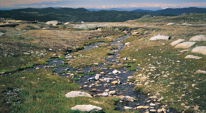 Image courtesy of Tourism New South Wales