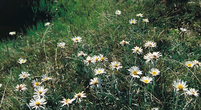 Image courtesy of Tourism New South Wales