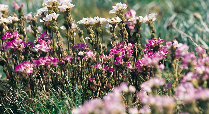 Image courtesy of Tourism New South Wales