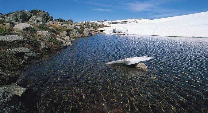 Image courtesy of Tourism New South Wales
