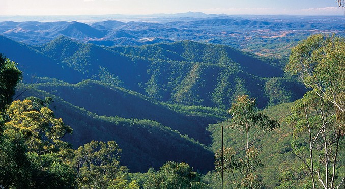 Image courtesy of Tourism Queensland