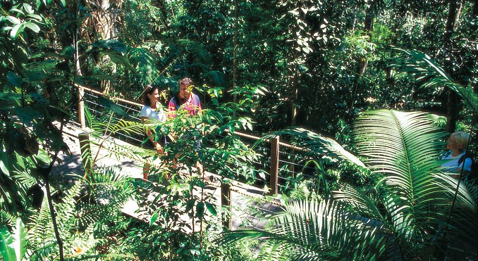 Image courtesy of Tourism Queensland