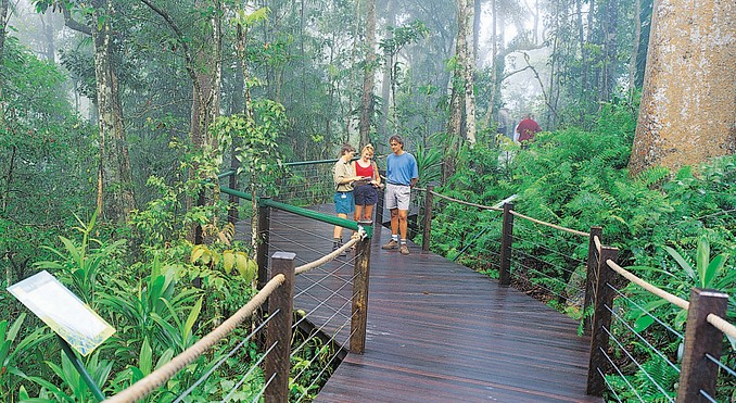 Image courtesy of Tourism Queensland