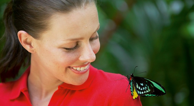 Image courtesy of Tourism Queensland