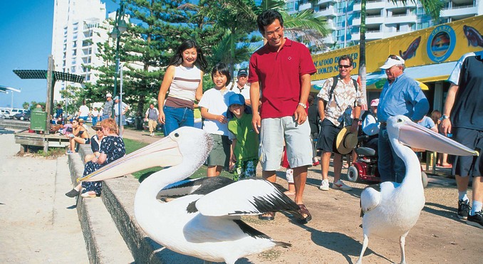 Image courtesy of Tourism Queensland