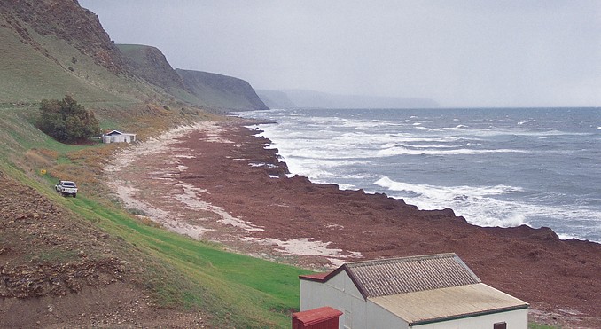Image courtesy of South Australia