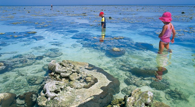 Image courtesy of Tourism Queensland