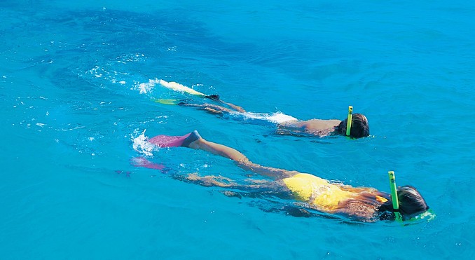 Image courtesy of Tourism Queensland