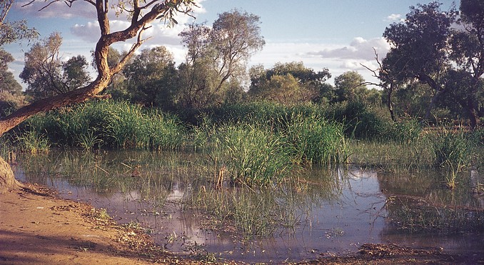 Image courtesy of South Australia