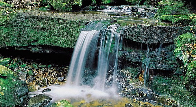 Image courtesy of Tourism New South Wales