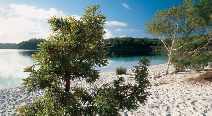 Image courtesy of Tourism Queensland