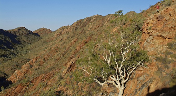 Image courtesy of Tourism NT