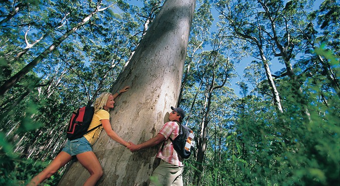 Leeuwin - Naturaliste National Park