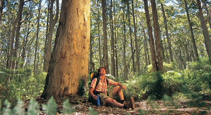 Image courtesy of Western Australia