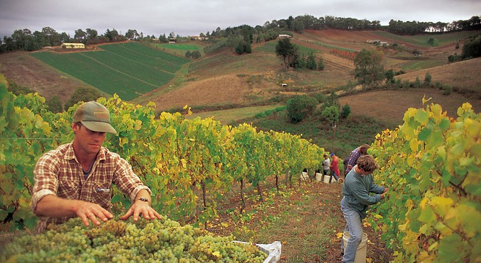 Image courtesy of South Australia