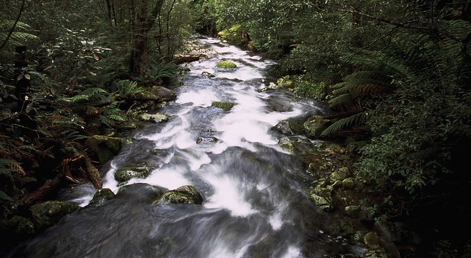 Tourism Tasmania and Geoffrey Lea