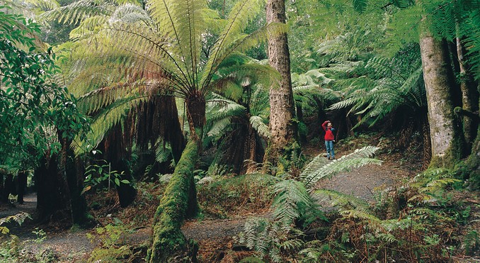 Tourism Tasmania and Geoffrey Lea