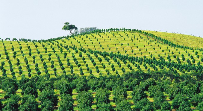 Image courtesy of Tourism New South Wales