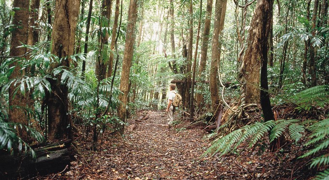 Image courtesy of Tourism New South Wales