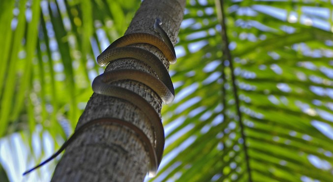 Image courtesy of Tourism NT