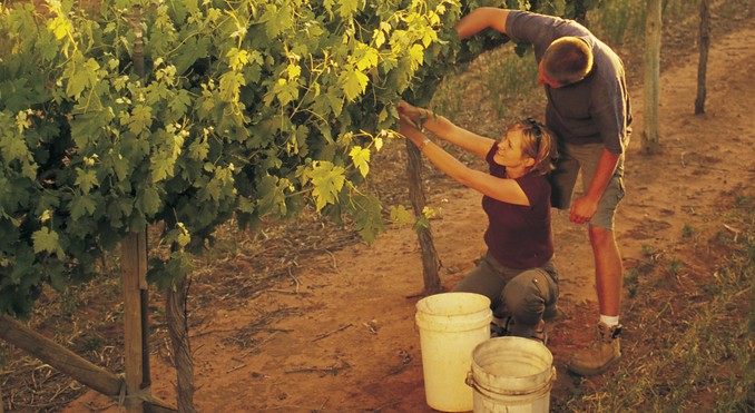 Image courtesy of South Australia