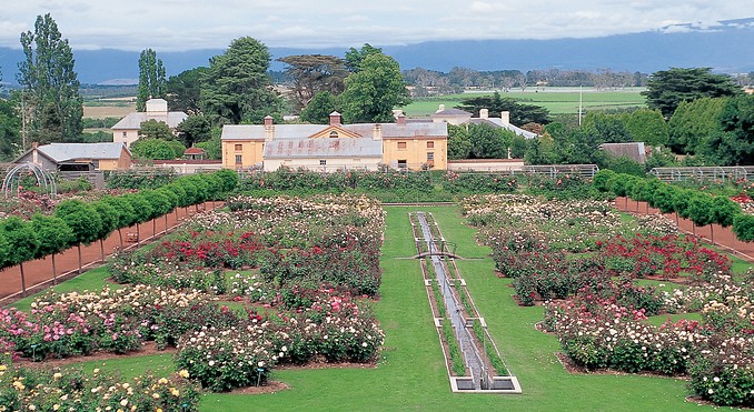Tourism Tasmania and Shufunotomo Co Ltd