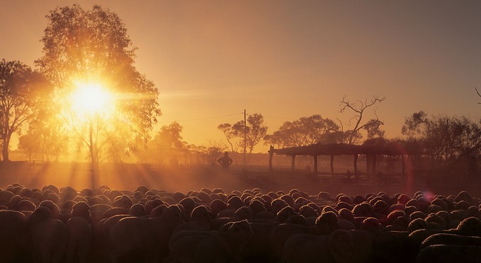 Image courtesy of Tourism Queensland