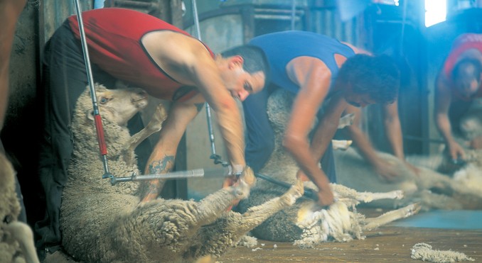 Image courtesy of Tourism Queensland